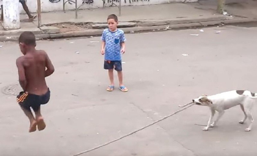 Ovom dečaku nikad ne fali drugar za igru