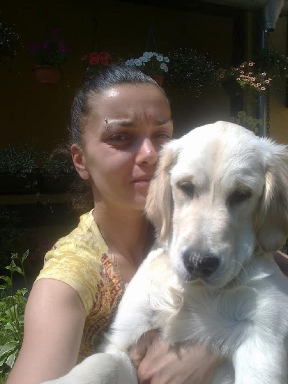 Žena prodaje stan da bi lečila psa!