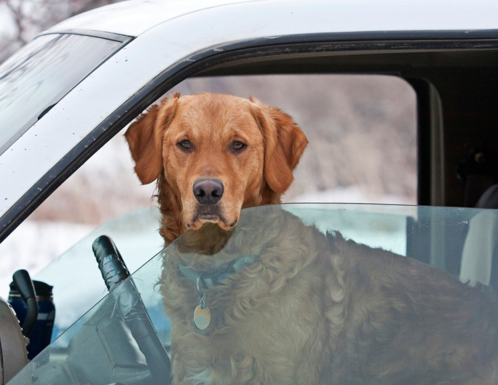 Najsmešniji izgovor za saobraćajku!