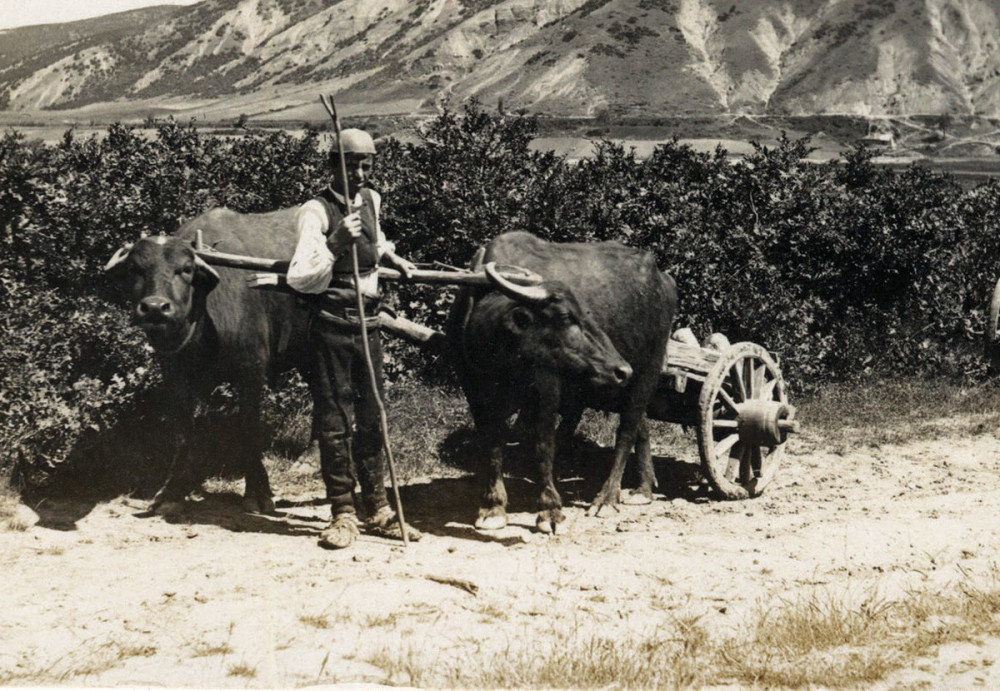 Srbi, niste baš veliki radnici!