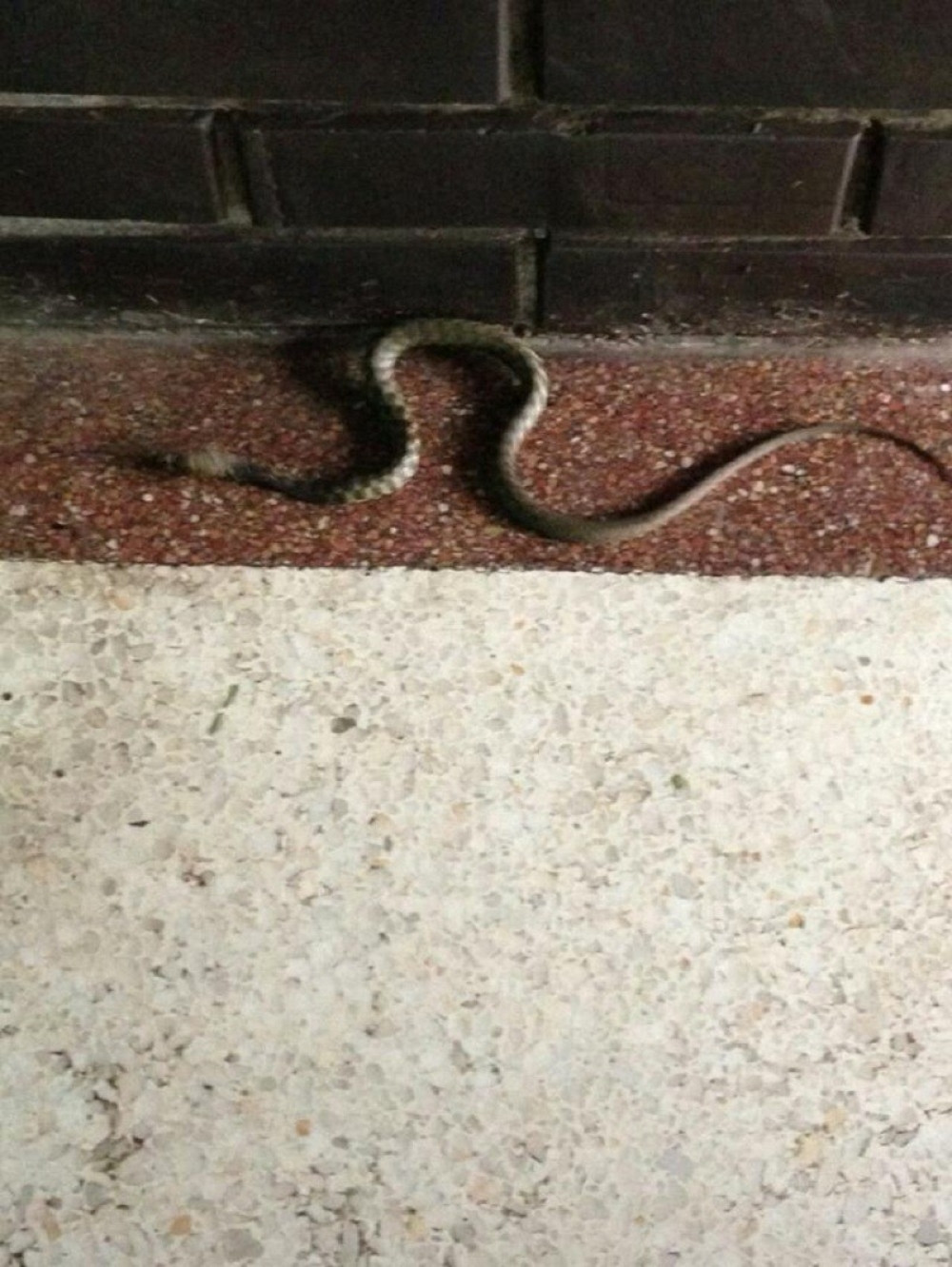 Ljudi došli na posao, a tu ih dočekao horor!