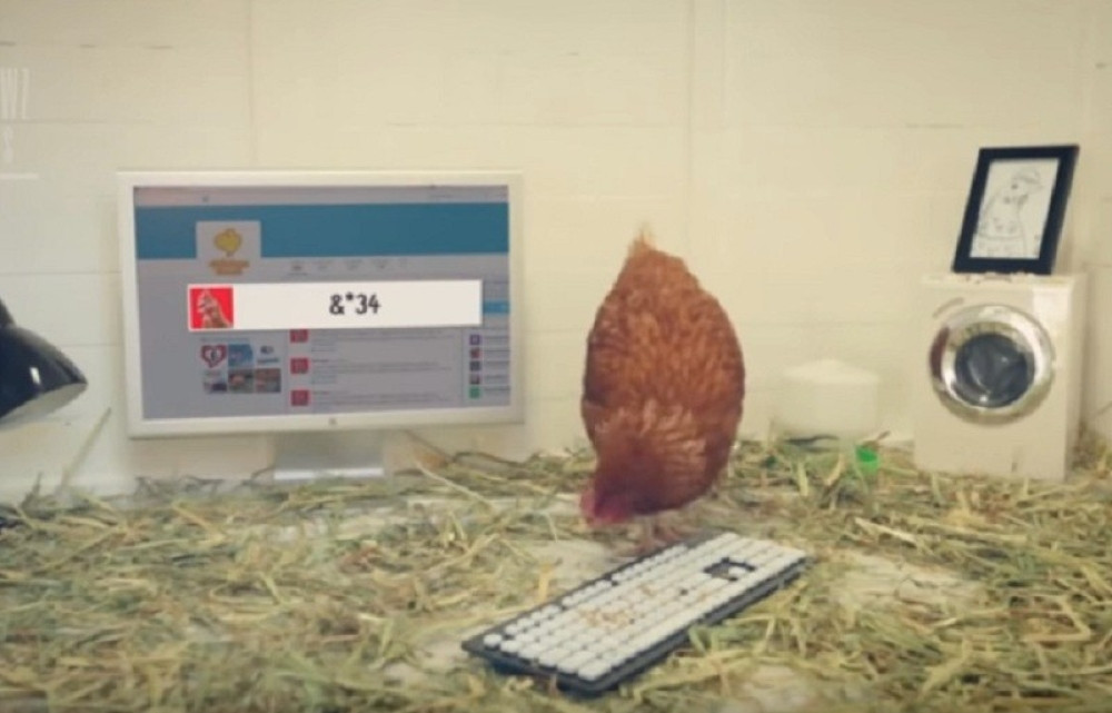 Počeo je da je prati i nije mogao da veruje kada je video šta je uradila! (VIDEO)