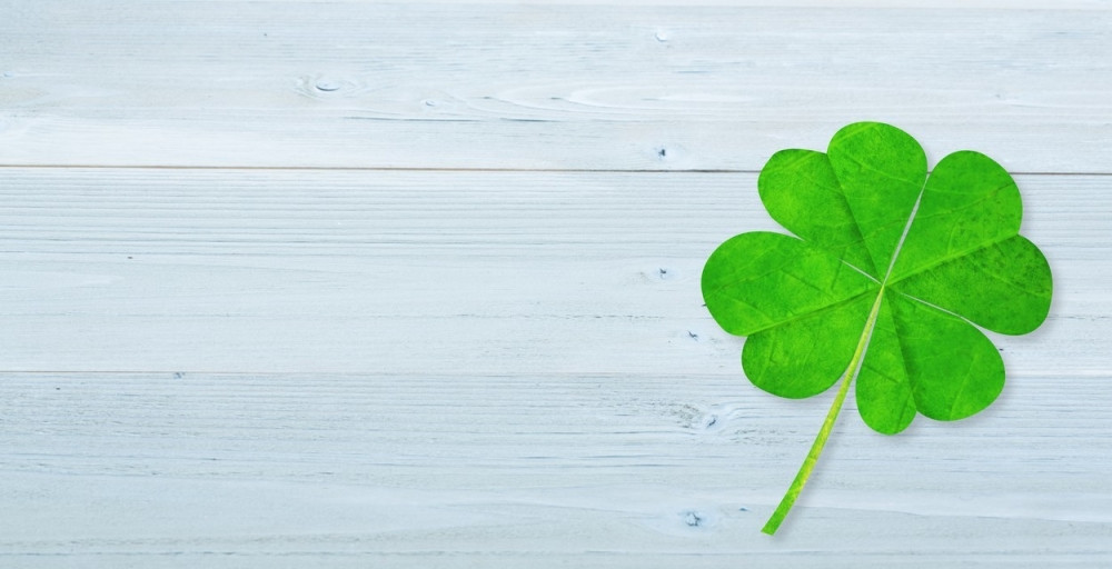 Ako pronađete detelinu sa pet lista, ovo morate odmah da uradite!