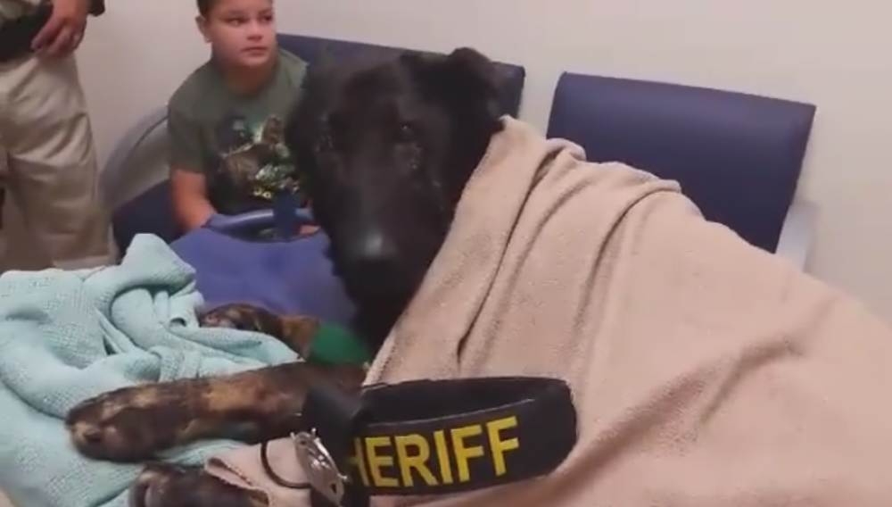 Dirljivi oproštaj policijskog psa sa kolegama (VIDEO)