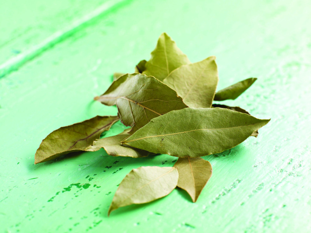 Zapalite lovorov list i posle 5 minuta osetićete neverovatnu promenu u vašem domu!