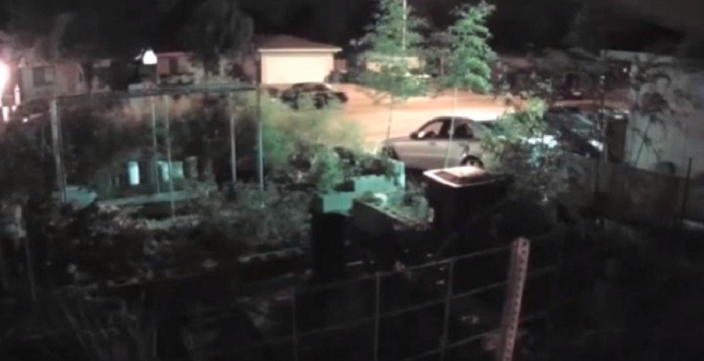 Snimak devojke koju hvata otmičar (VIDEO)