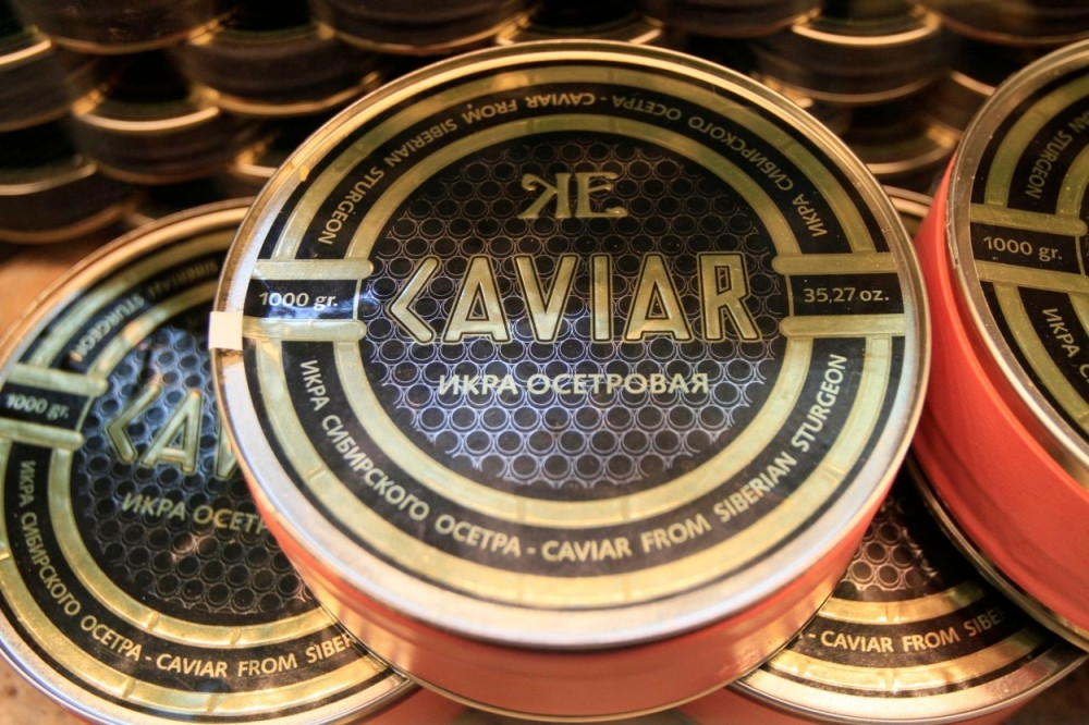 Švercovao pola tone kavijara u pogrebnom vozilu!