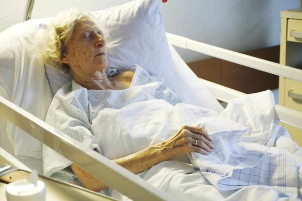 Neko ubija pacijente po Japanu