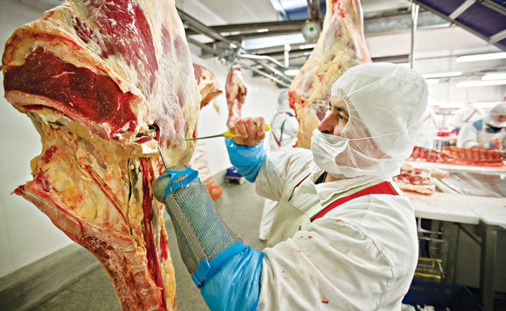 Izbila zaraza u klanici svinja!