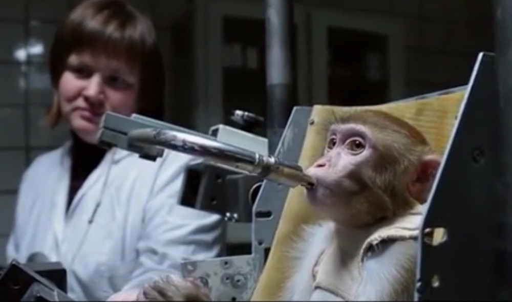 Šta se dešava sa ovim životinjama?