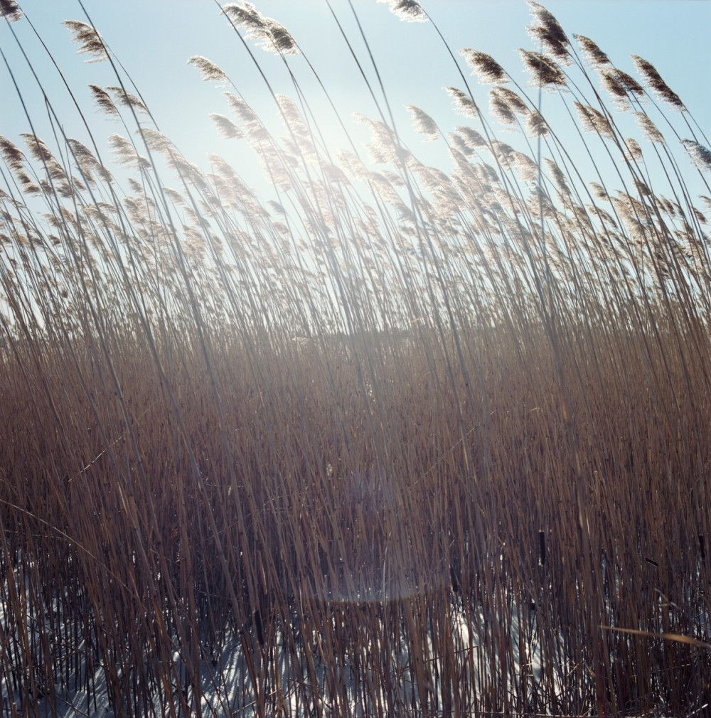 Ujutru magla, tokom dana sunčano i toplije