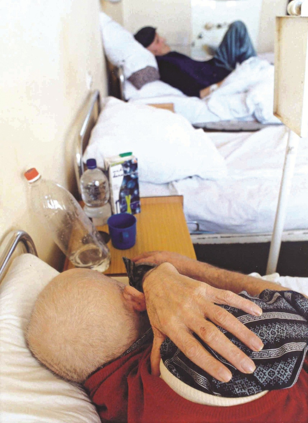 Otkrivene bobice koje leče sve vrste raka!