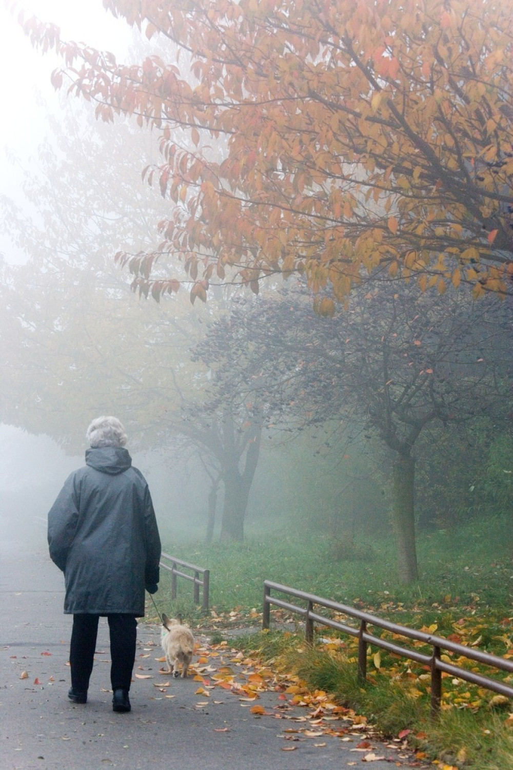 Hladan talas od sutra u Srbiji, pašće i sneg?!