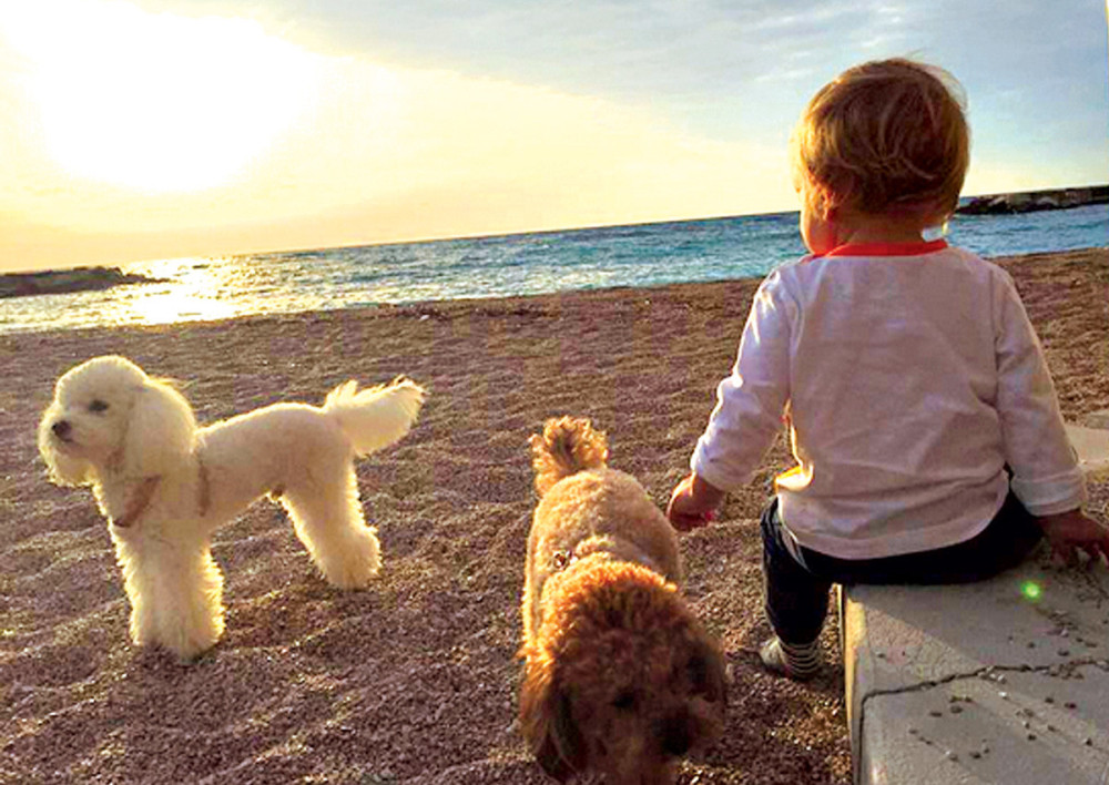 Novakovog sina čuvaju Pjer i Tesla