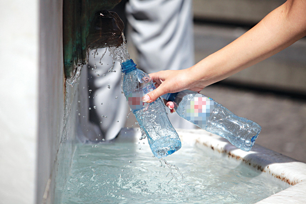 Česmovača nije bajna, ali nije ni štetna!