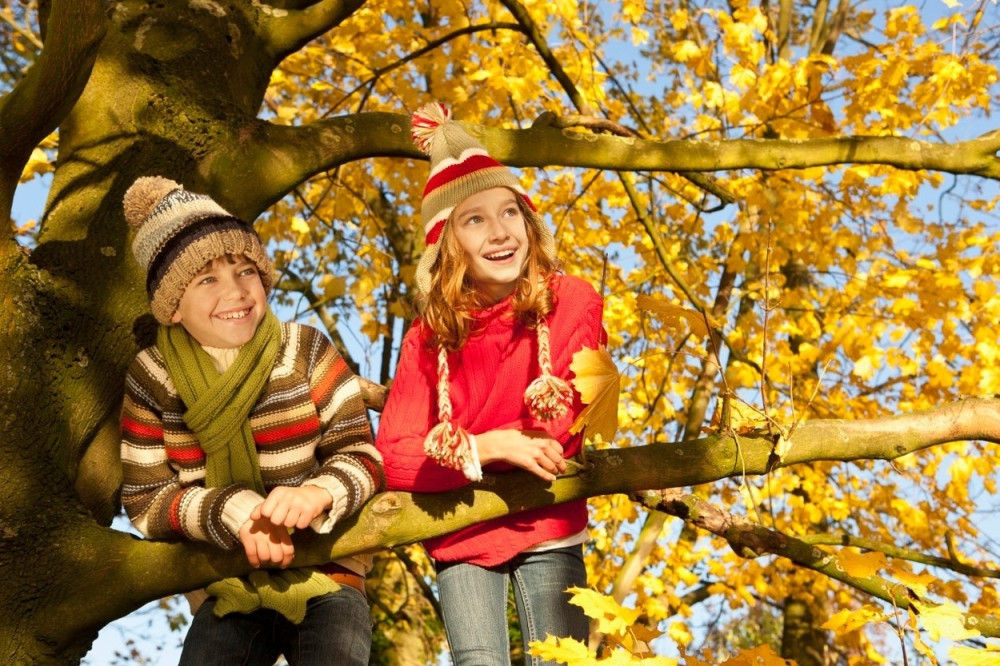 Jedna od njih štiti od raka, a lekari preporučuju ovih 12 namirnica kao obavezan deo ishrane tokom jeseni!