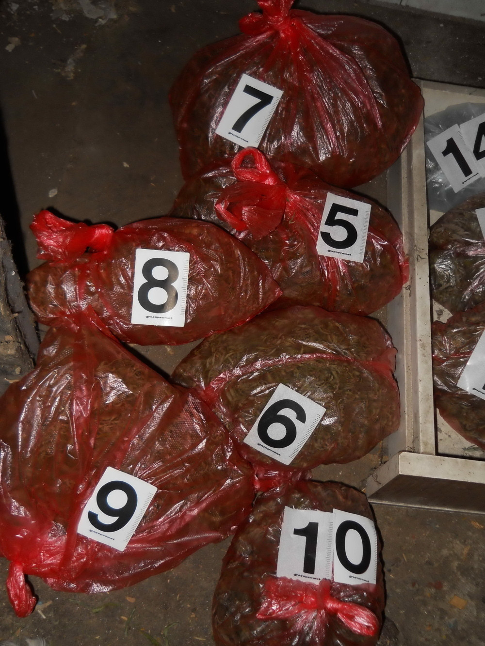 Zaplenjeno pet kilograma marihuane!