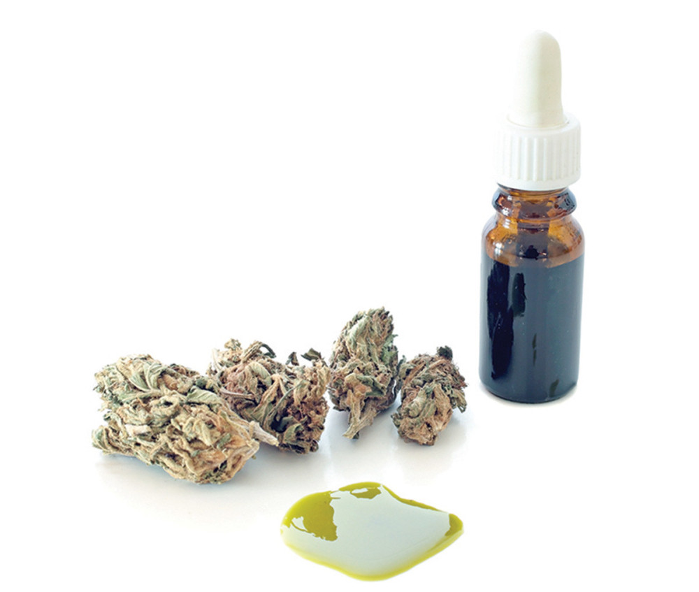 Ništa od ulja kanabisa do sledeće godine!