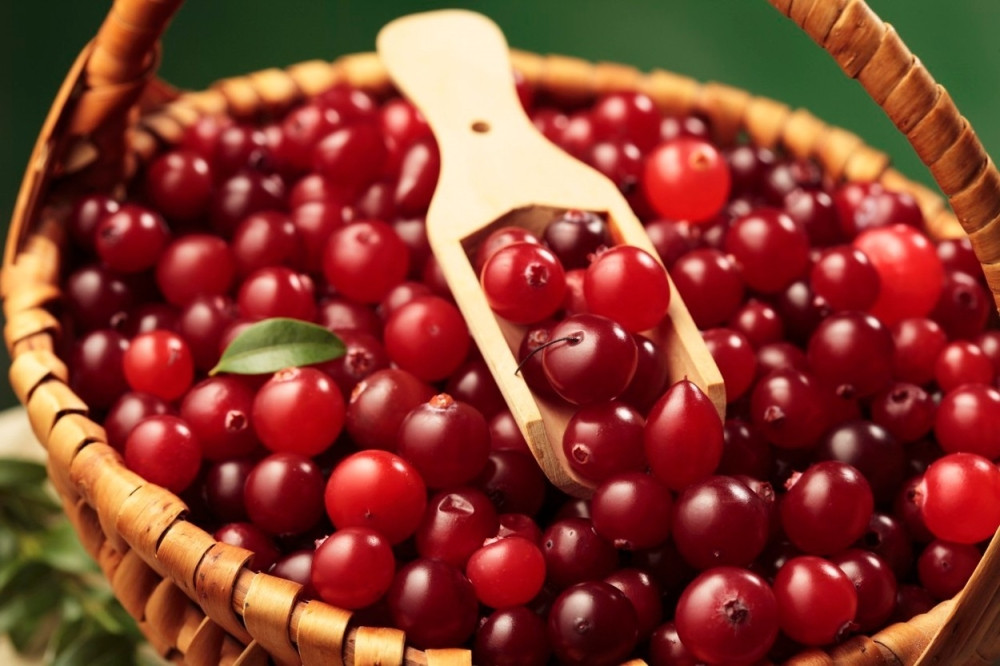 Razbijen mit o brusnicama!