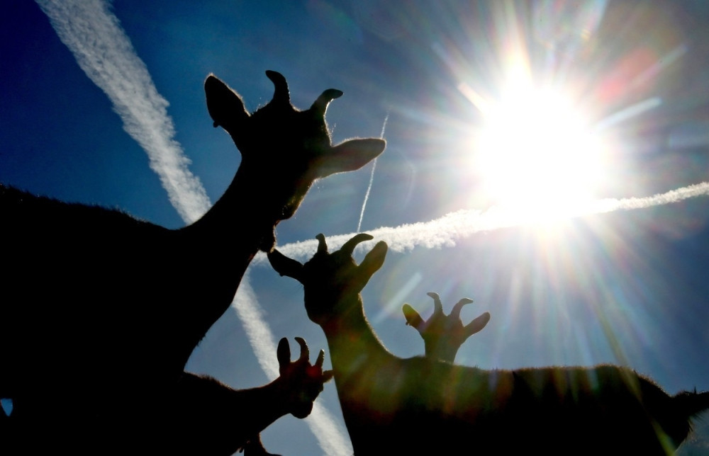 Od ovog biznisa može opasno da se zaradi, evo šta vam je sve potrebno da počnete!