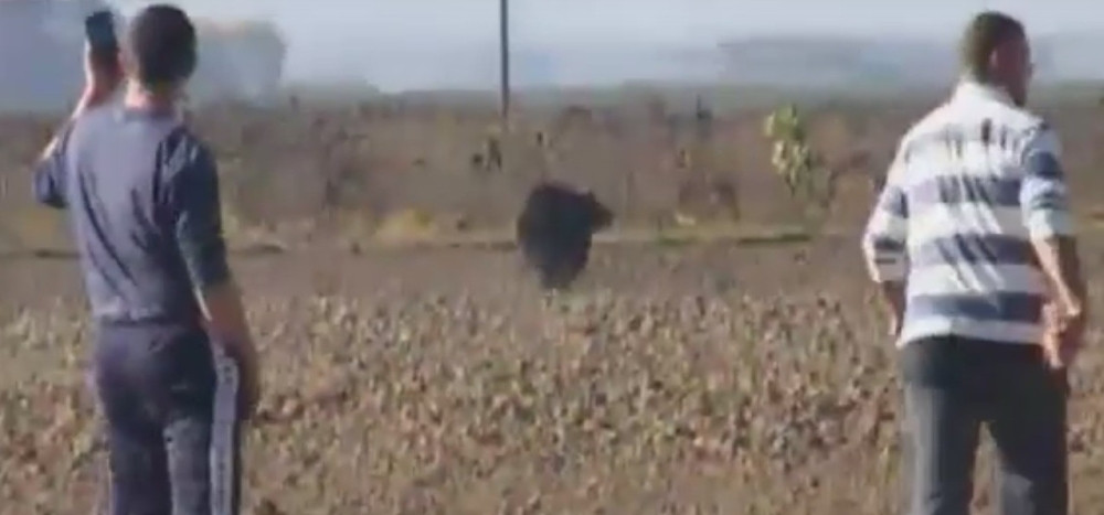 Meda neće da ode iz sela! (VIDEO)