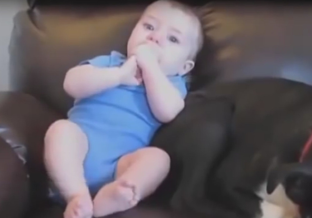 Ove bebe ulepšaće vam dan! (VIDEO)