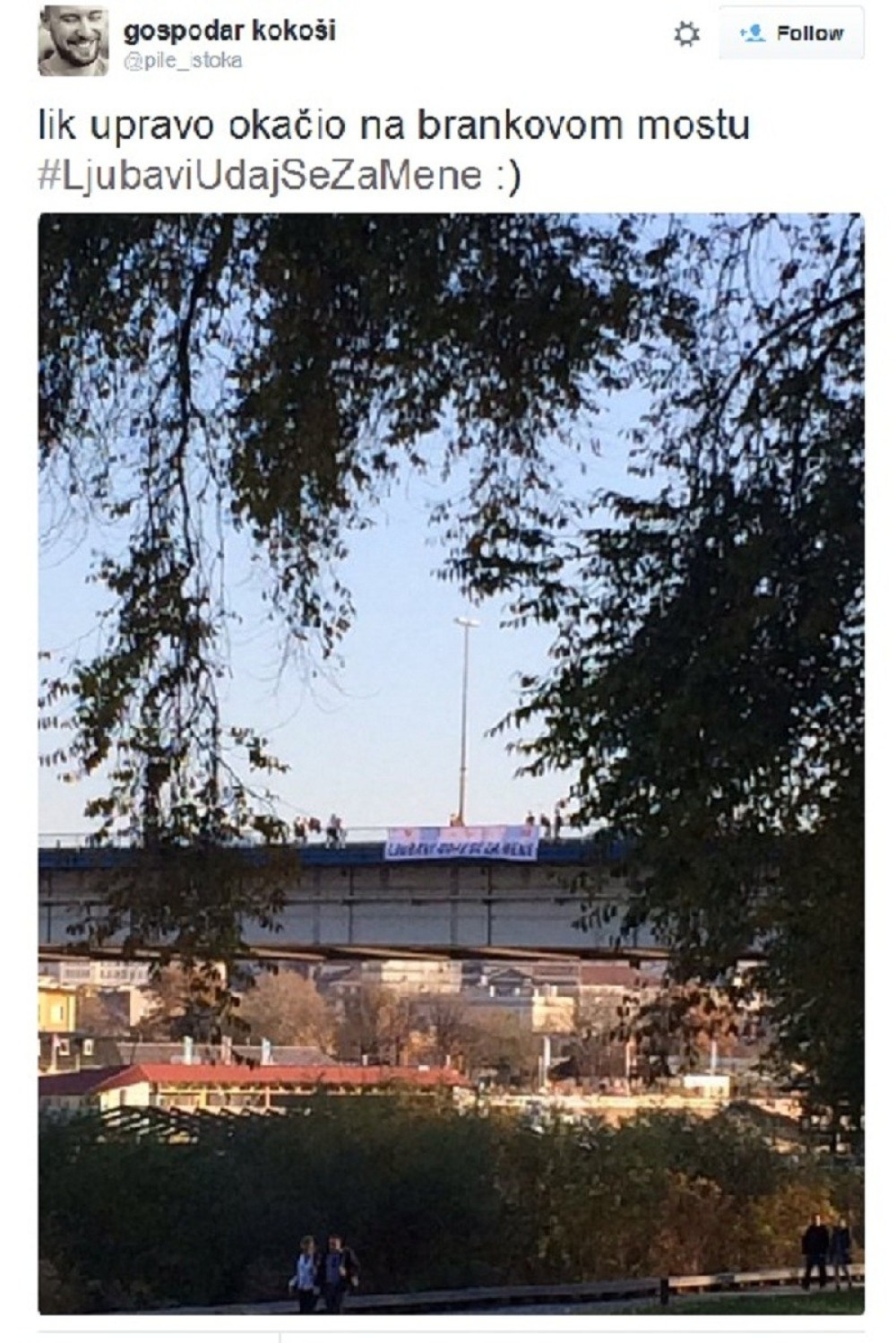 Nesvakidašnja prosidba u Beogradu (FOTO)