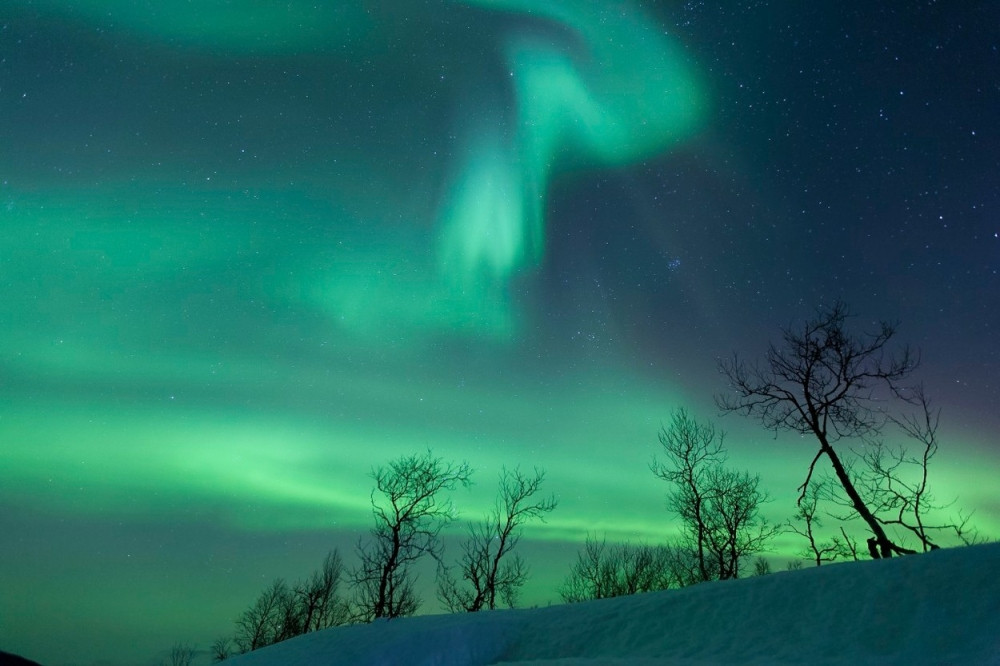 Migranti u polarnim noćima
