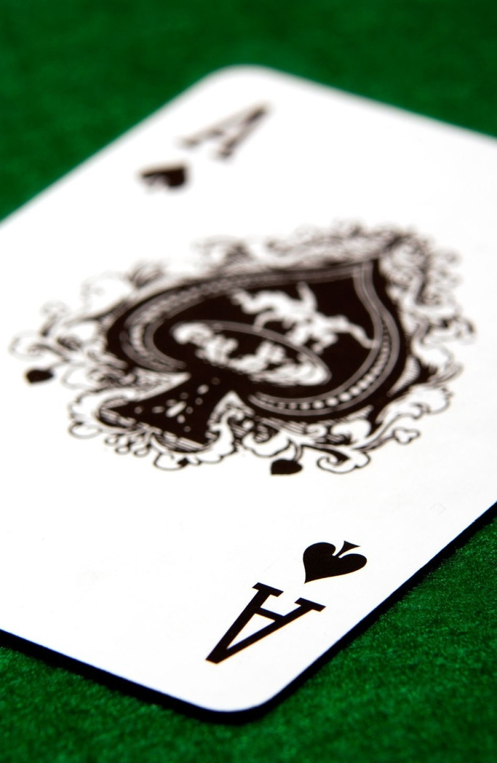 Umro bubnjar Motorheda Fil Tejlor