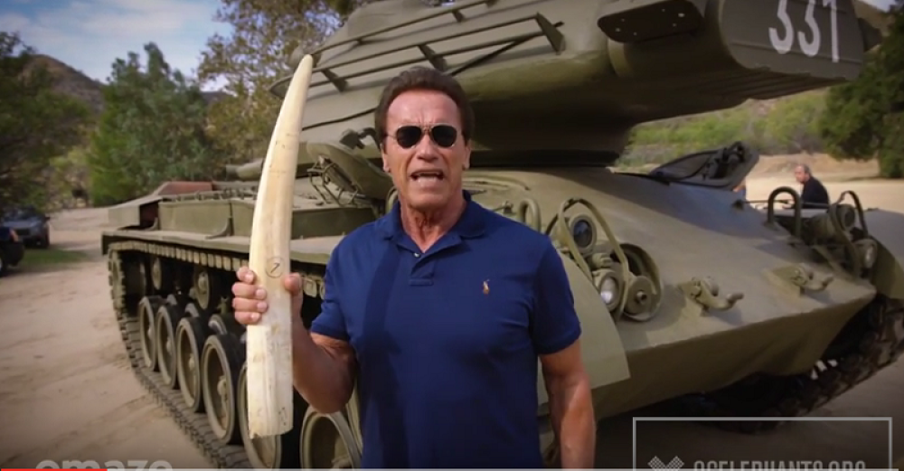 "Terminator" spasava slonove (VIDEO)