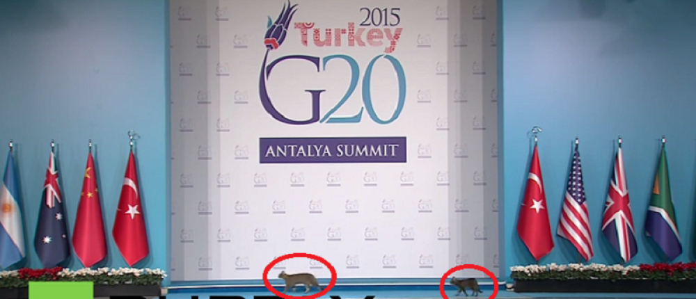 Mace upale na sastanak svetskih lidera! (VIDEO)