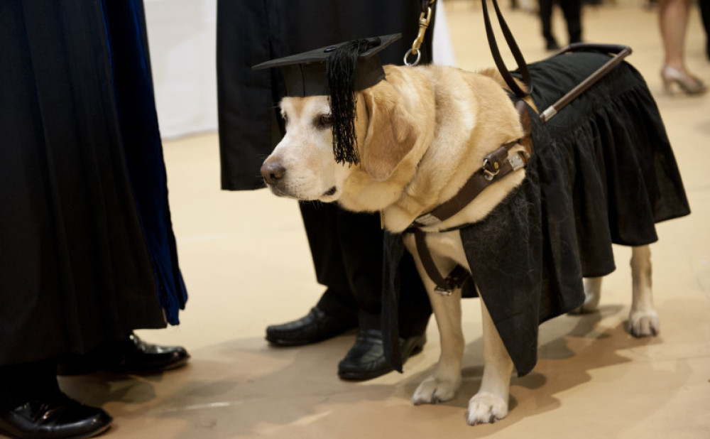 Maja se odlučila na veštačku oplodnju psećom spermom!