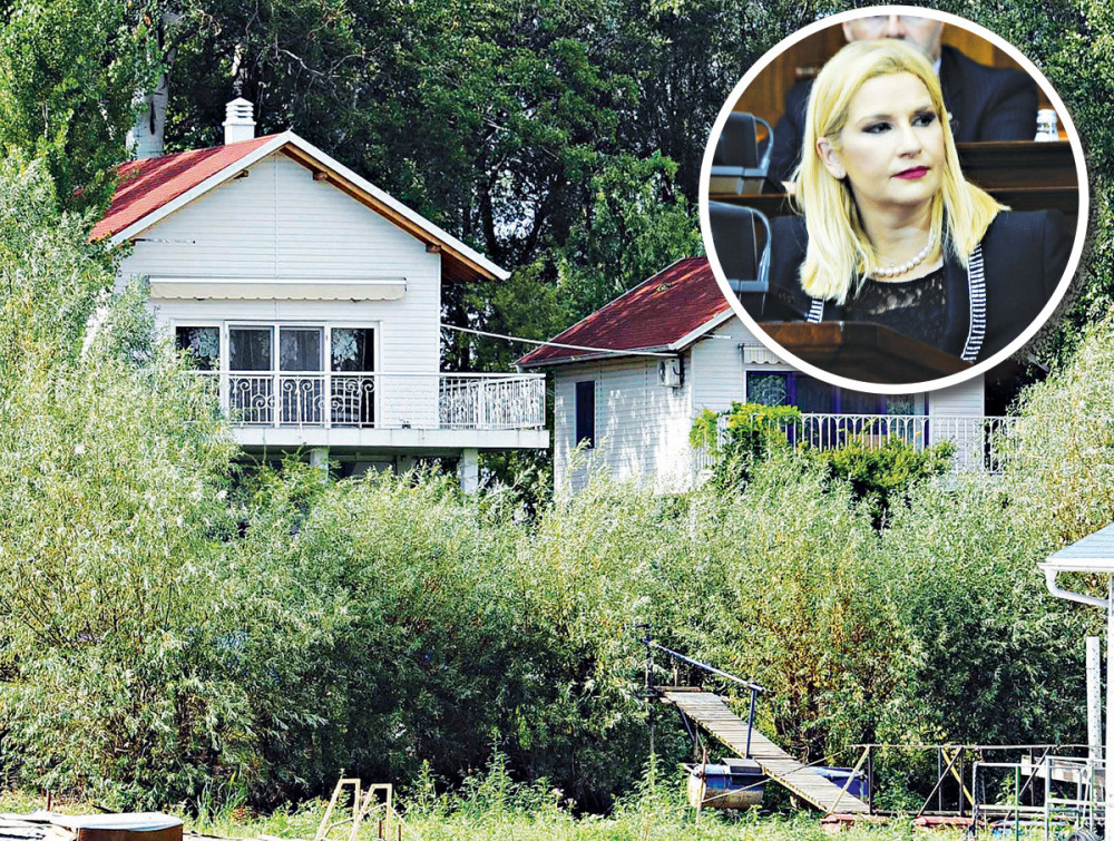 Zorana, praviš zakon za Nikolića i sinove!