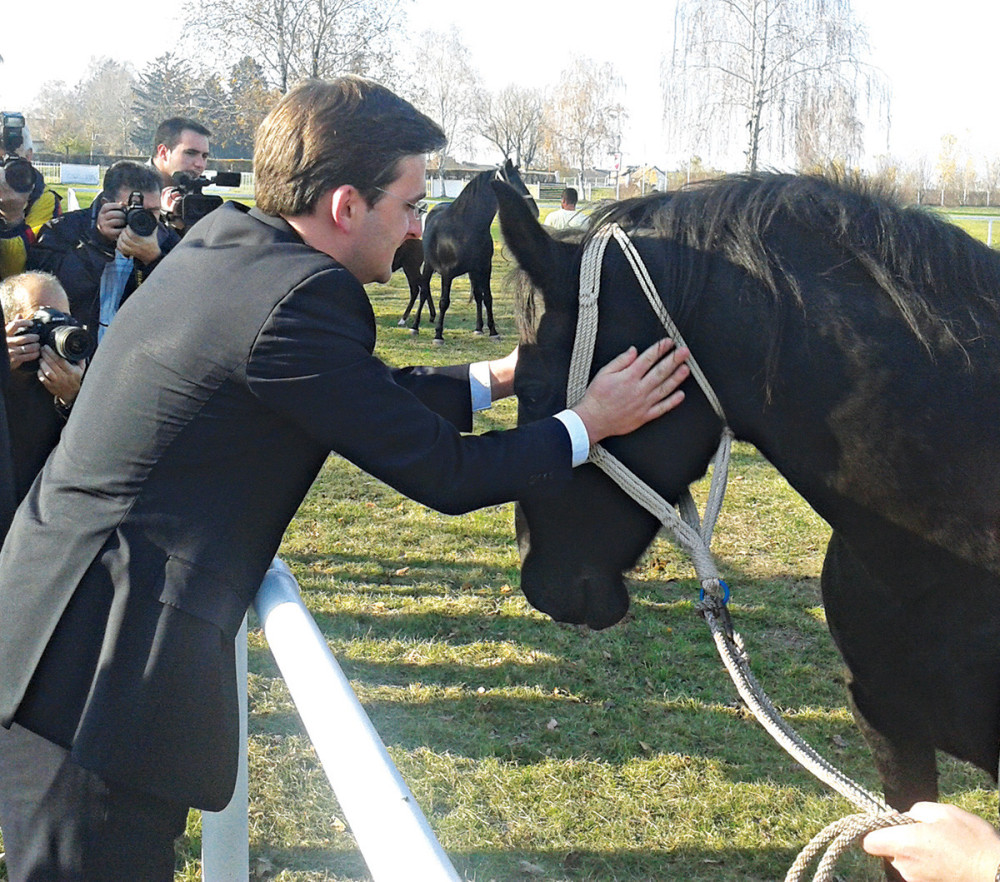 Ministar u zatvoru pomilovao - konja!