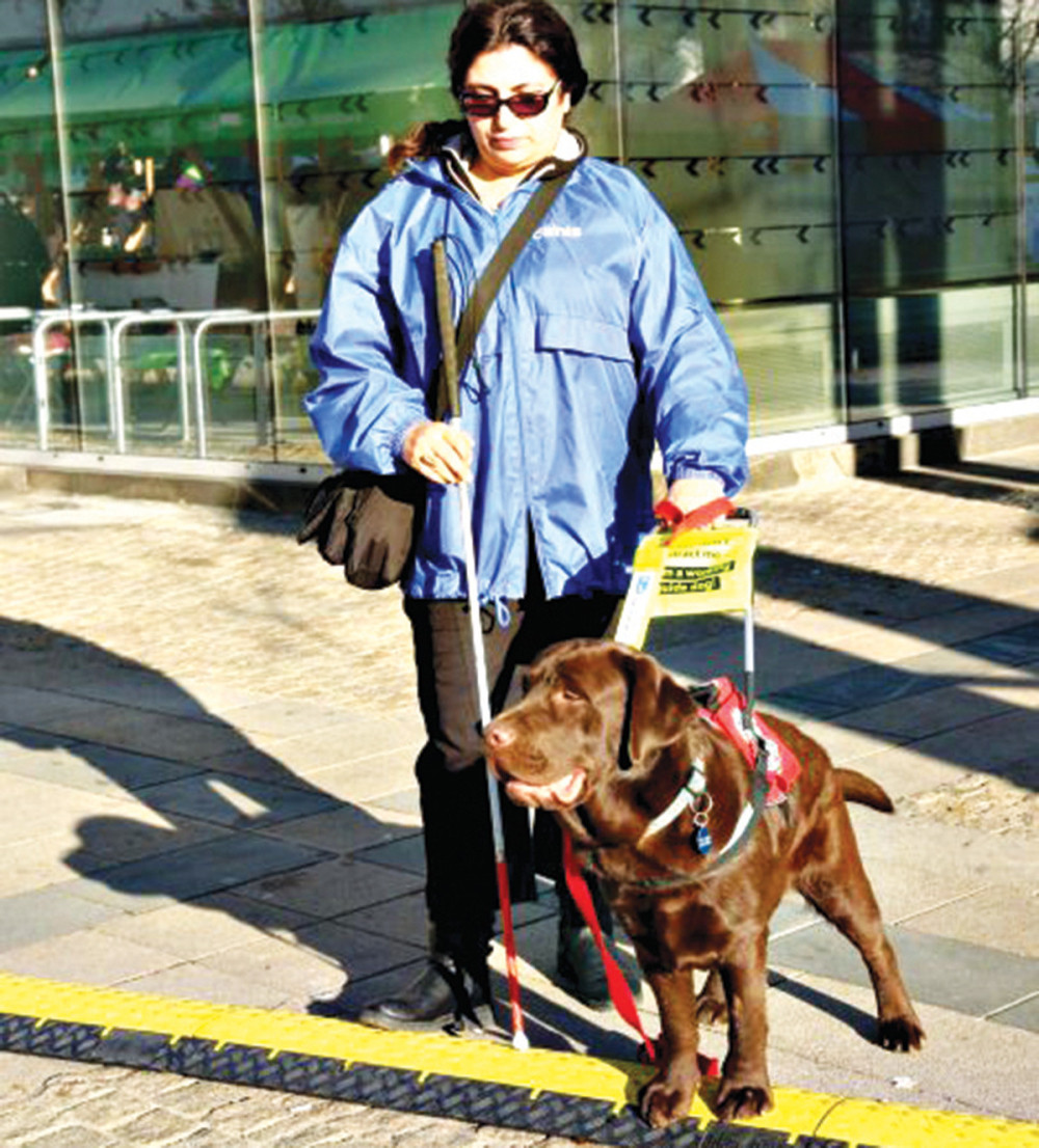 Nek te šeta neki frajer, a ne džukela!