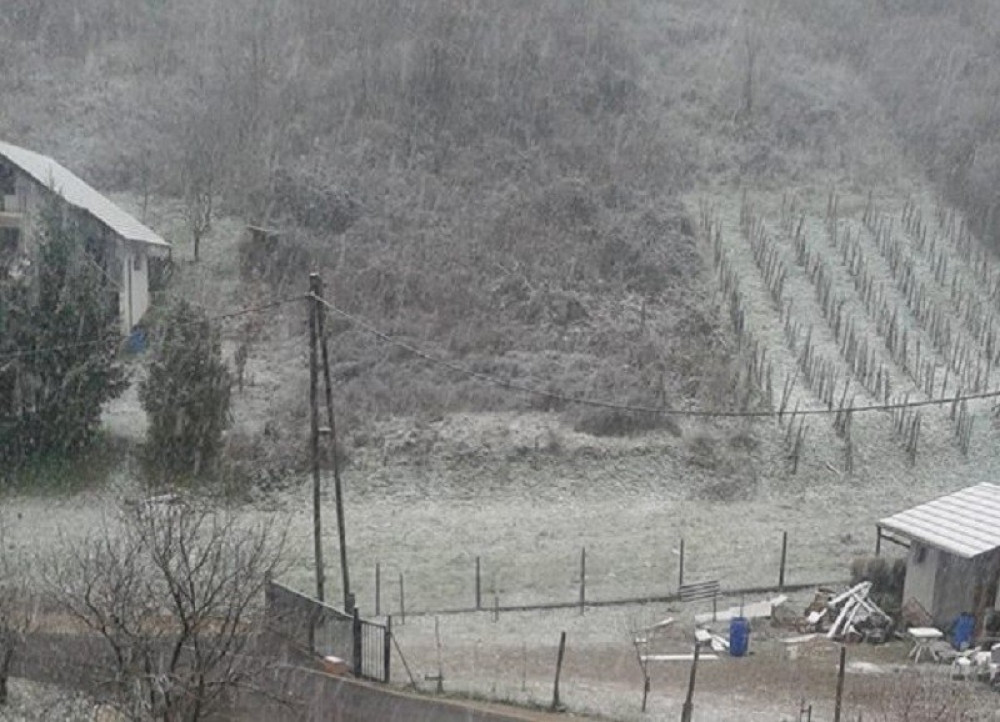 Lovci u polju pronašli golu Poljakinju, cela je bila u masnicama i ogrebotinama, a onda je počela da se OTIMA!