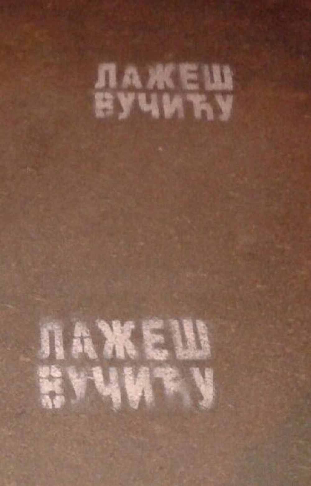 U Prokuplju osvanuli grafiti "Lažeš Vučiću"