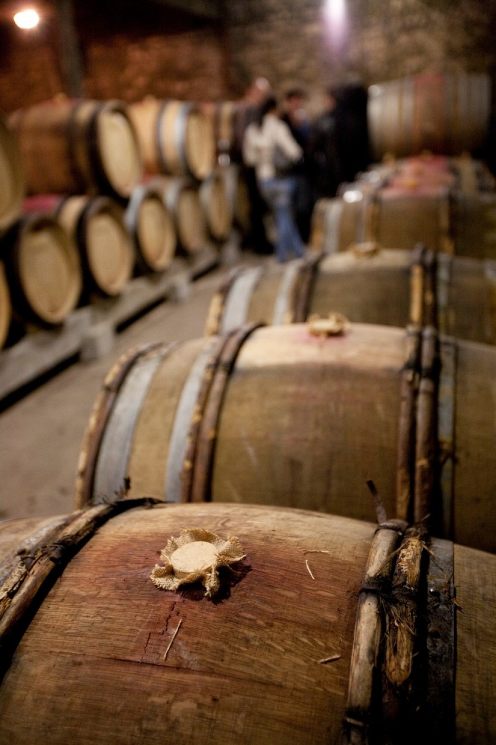 Ukrali mu iz podruma 50 litara rakije!