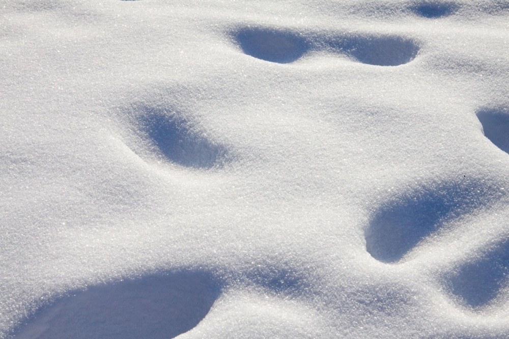 Pešice stigla do Južnog pola
