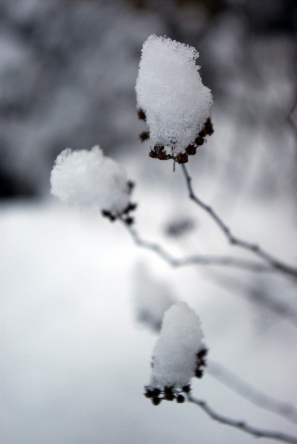Od zime u Poljskoj umrlo 77 osoba