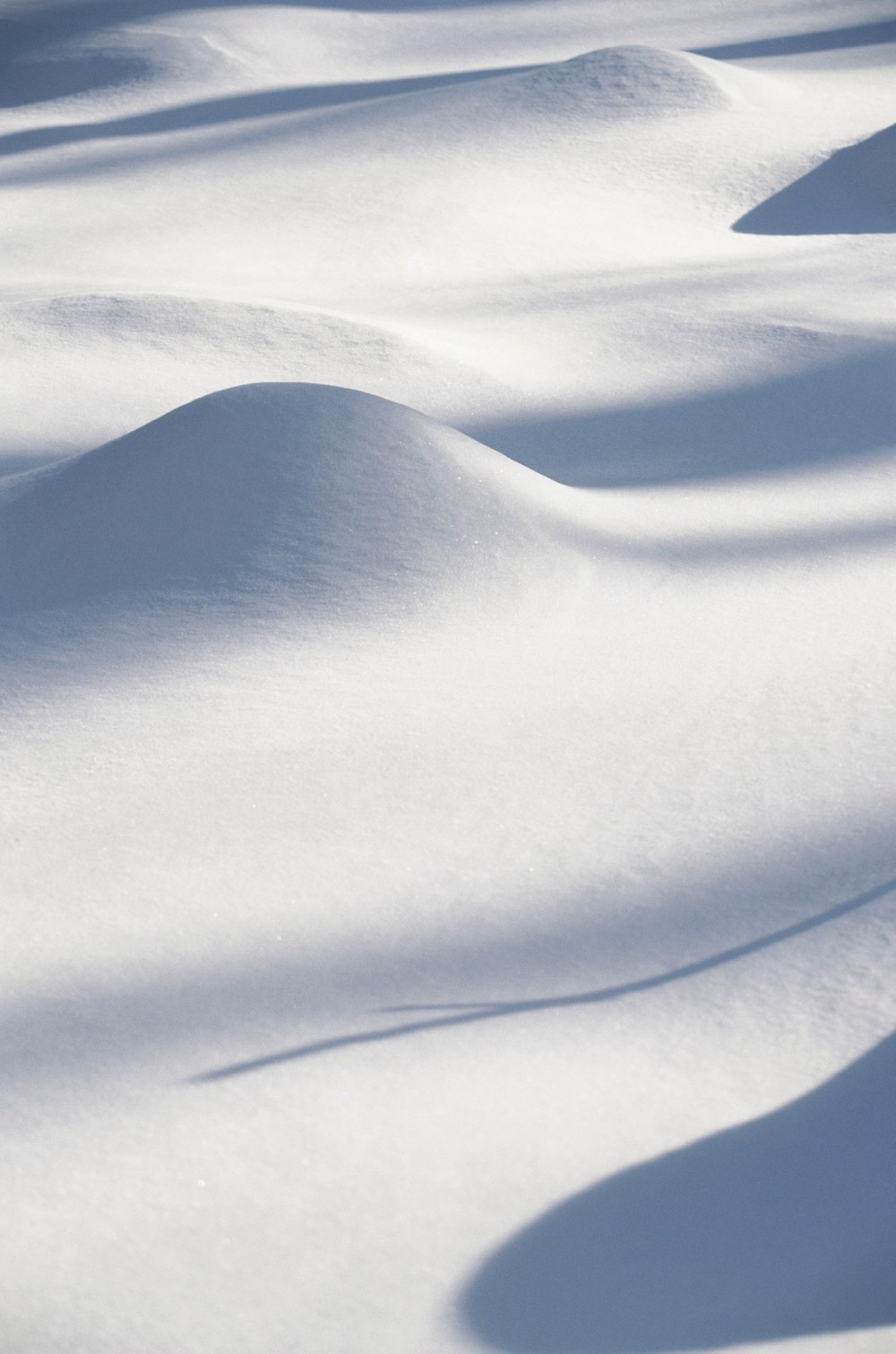 Sneg napadao i u autobusu! (FOTO)
