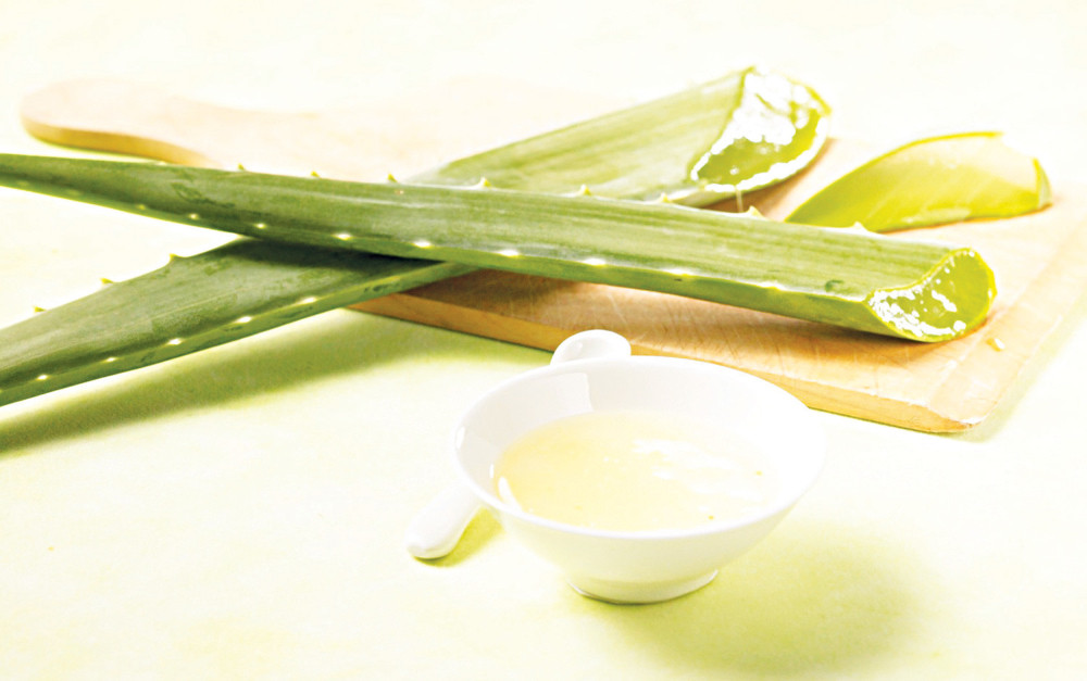 Pustinjski ljiljan za snažan imunitet!