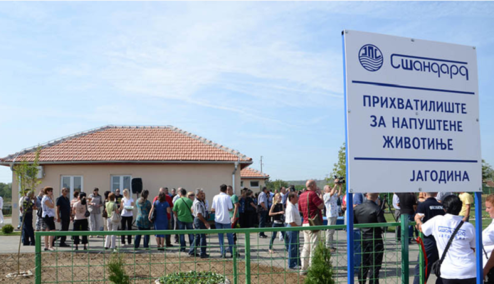 Dnevno 72 zahteva za azil