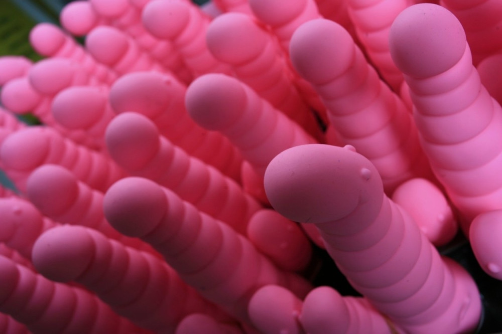 Nestao u Srbiji, u RS uhapšen zbog seks igračaka!