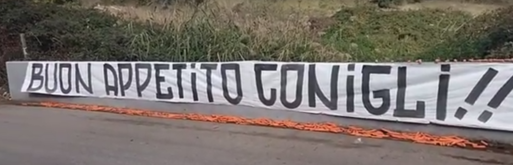 Šargarepa za zečeve sa Olimpika! (VIDEO)