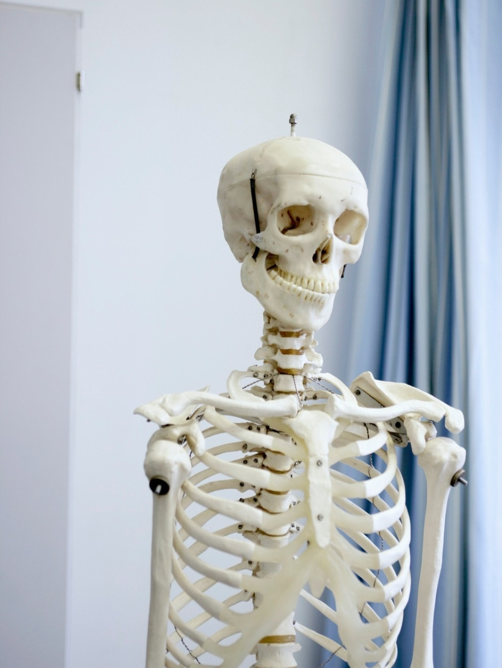 Učenici sahranili kostura iz kabineta za biologiju