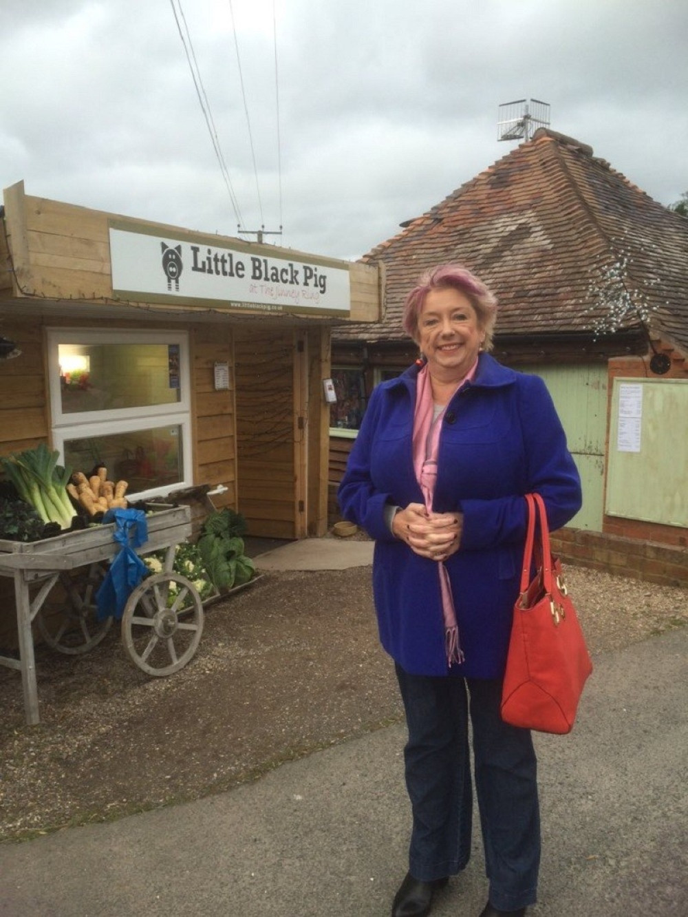 Lamli: Srbija ne mora da prizna Kosovo