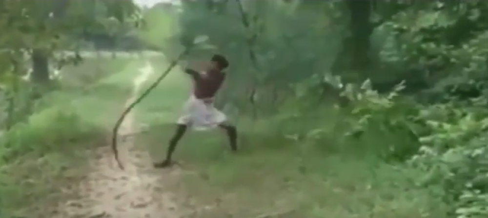 Kobra mu ubila sina, a onda se osvetio (VIDEO)