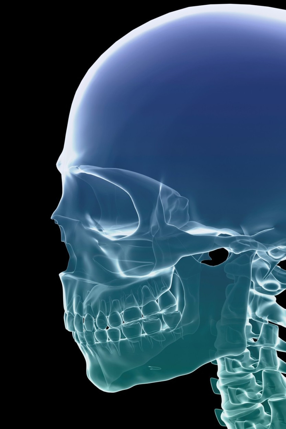 Pronađena ljudska lobanja!