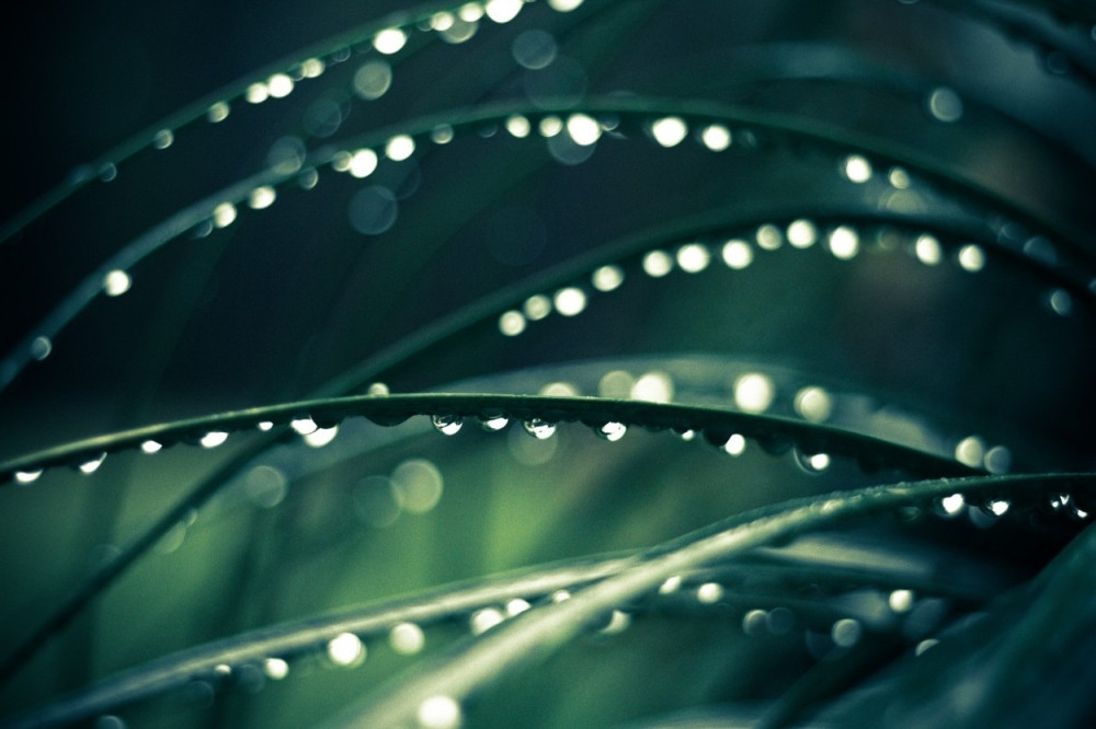 Danas najviše osam stepeni